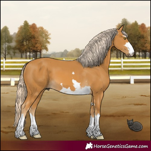 Horse Color:Palomino 