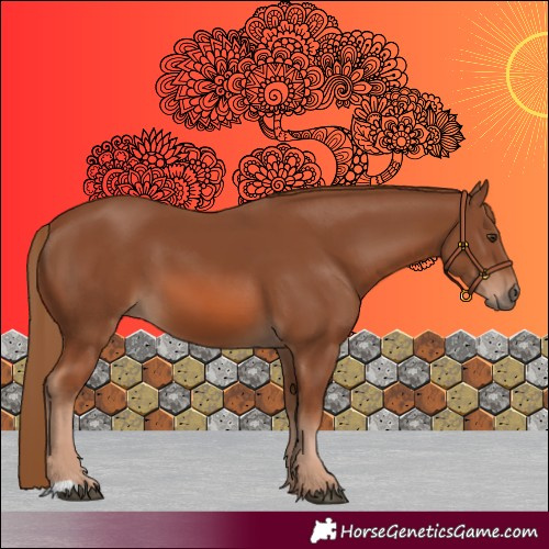 Horse Color:Chestnut 