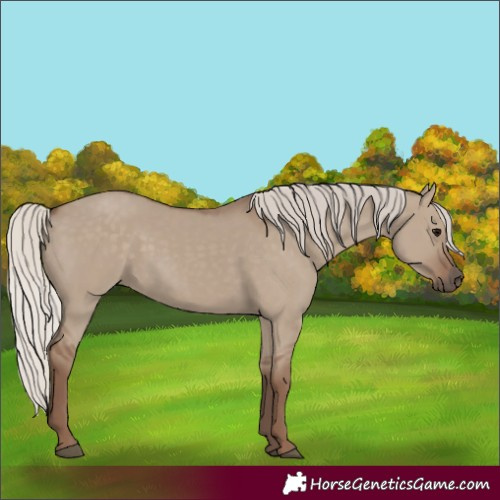 Horse Color:Silver Grullo