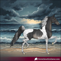 Horse Color:Black Tobiano Rabicano 