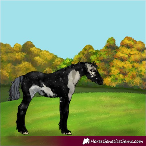 Horse Color:Void Painted Blue Onyx Ice Splash Tobiano 