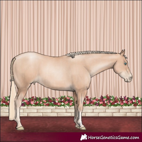 Horse Color:Gold Champagne Pearl Rabicano  and Gold Champagne Pearl Rabicano 
