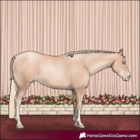 Horse Color:Gold Champagne Pearl Rabicano  and Gold Champagne Pearl Rabicano 