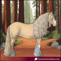 Horse Color:Palomino Dun Splash and Palomino Dun Splash