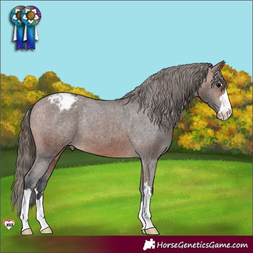 Horse Color:Brown Varnish 