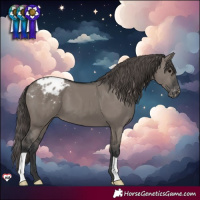 Horse Color:Grullo Varnish 