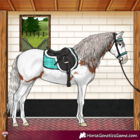 Horse Color:Silver Brown Splash Snowcap 