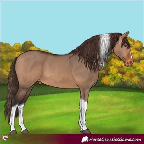 Horse Color:Bay Dun Tobiano Varnish 