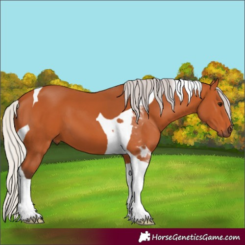 Horse Color:Silver Bay Tobiano 