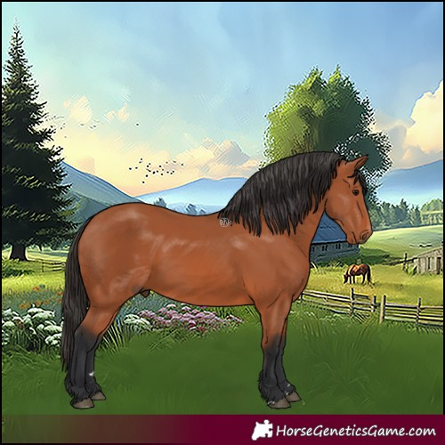 Horse Color:Bay 