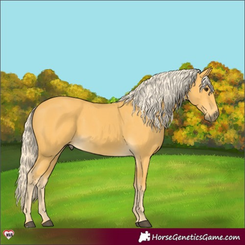 Horse Color:Palomino 