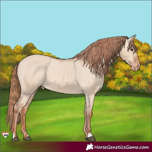 Horse Color:Red Dun Varnish 