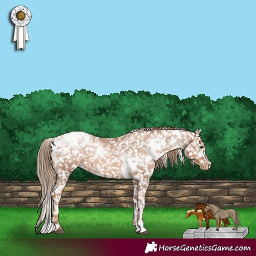 Horse Color:White Spotted Liver Chestnut Pearl Appaloosa 