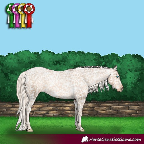 Horse Color:White Spotted Chocolate Palomino Pearl Snowflake Varnish 