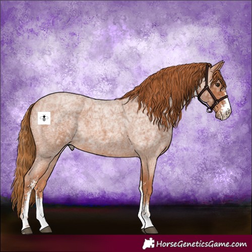 Horse Color:Red Ice Roan Sabino 