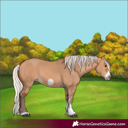 Horse Color:Silver Bay Dun Sabino Tobiano Frame Rabicano 