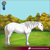 Horse Color:Grullo Roan Mushroom Appaloosa 