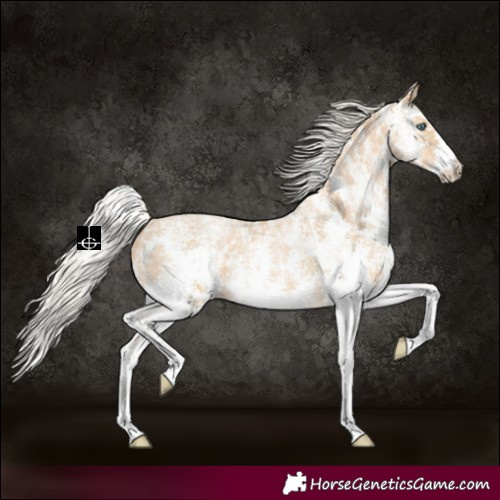 Horse Color:Cremello Sabino and Palomino Pearl Sabino