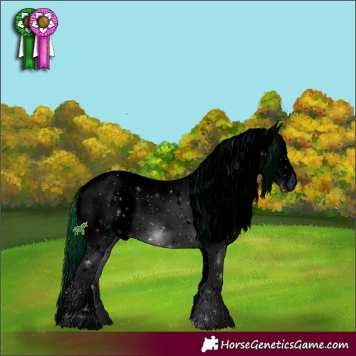 Horse Color:ERROR: UNKNOWN ANOMALY