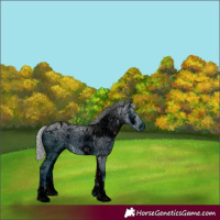 Horse Color:ERROR: UNKNOWN ANOMALY