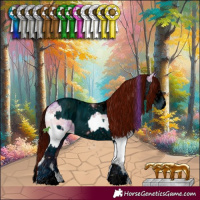 Horse Color:Watercolor White Spotted Chocolate Blue Onyx Ice Sabino Splash  and ERROR: UNKNOWN ANOMALY