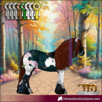 Horse Color:Watercolor White Spotted Chocolate Blue Onyx Ice Sabino Splash  and ERROR: UNKNOWN ANOMALY