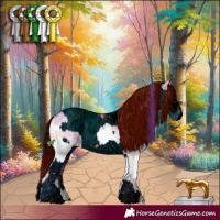 Horse Color:Watercolor White Spotted Chocolate Blue Onyx Ice Sabino Splash  and ERROR: UNKNOWN ANOMALY