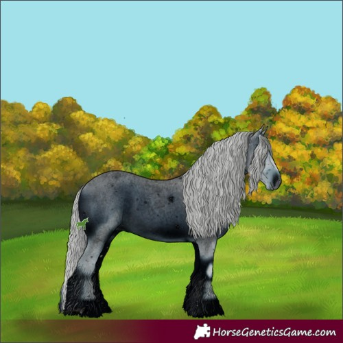 Horse Color:ERROR: UNKNOWN ANOMALY