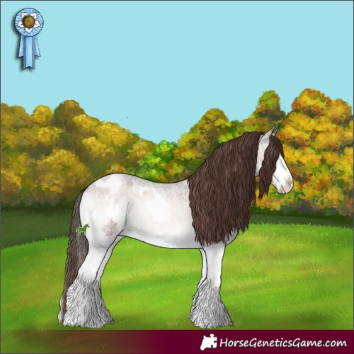 Horse Color:Brown Ice Roan Onyx Sabino Splash Appaloosa 
