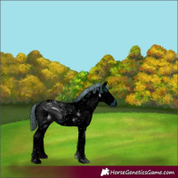 Horse Color:ERROR: UNKNOWN ANOMALY