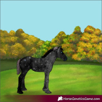 Horse Color:ERROR: UNKNOWN ANOMALY