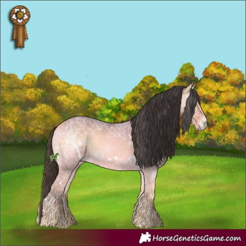 Horse Color:White Spotted Buckskin Ice Onyx 