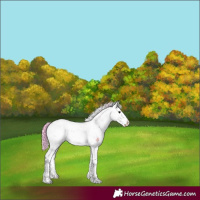 Horse Color:Watercolor Chocolate Brown Ice Onyx Sabino Splash 