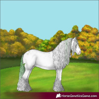 Horse Color:Watercolor Brown Chinchilla Ice Onyx Sabino Splash 