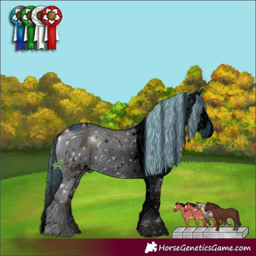 Horse Color:ERROR: UNKNOWN ANOMALY