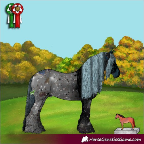 Horse Color:ERROR: UNKNOWN ANOMALY