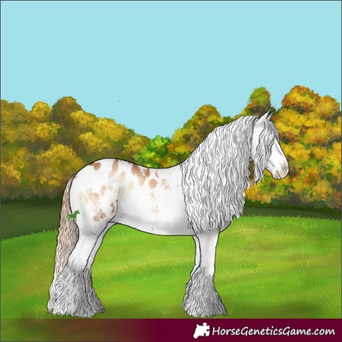 Horse Color:Red Onyx Sabino Splash Appaloosa 