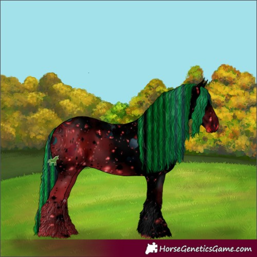 Horse Color:ERROR: UNKNOWN ANOMALY