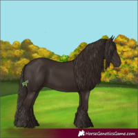 Horse Color:Liver Chestnut  and Liver Chestnut 