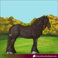 Horse Color:Liver Chestnut and Liver Chestnut