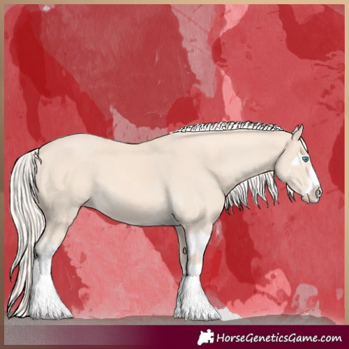 Horse Color:Cremello Splash  and Cremello Splash 