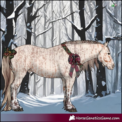 Horse Color:Chocolate Bay Roan  and Perlino Splash 