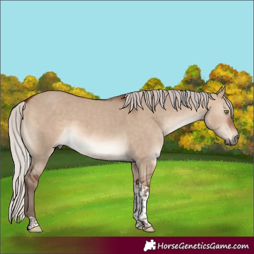 Horse Color:Silver Brown Dun Tobiano 