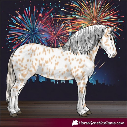 Horse Color:Red Dun Appaloosa 