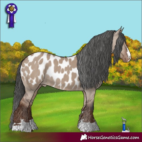 Horse Color:Liver Red Dun Appaloosa Rabicano 