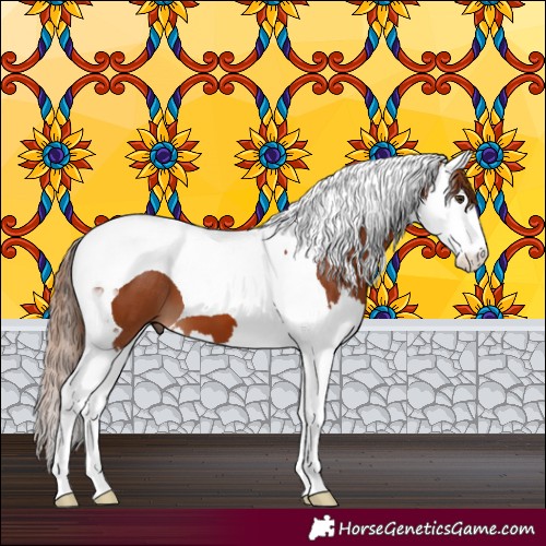 Horse Color:Chestnut Splash Tobiano