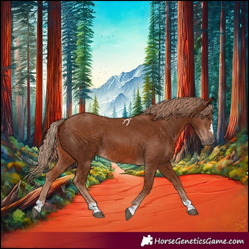 Horse Color:Chestnut 