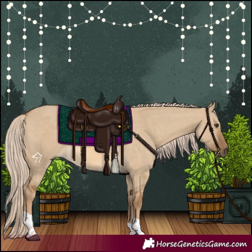 Horse Color:Chocolate Palomino Dun Tobiano 