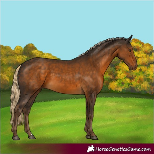 Horse Color:Chocolate Palomino 