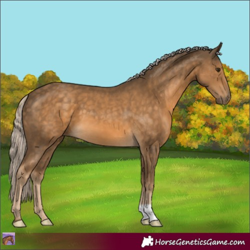 Horse Color:Chocolate Palomino 